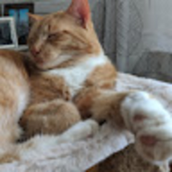 Meet your Posher, E. - Picture 1 of 1